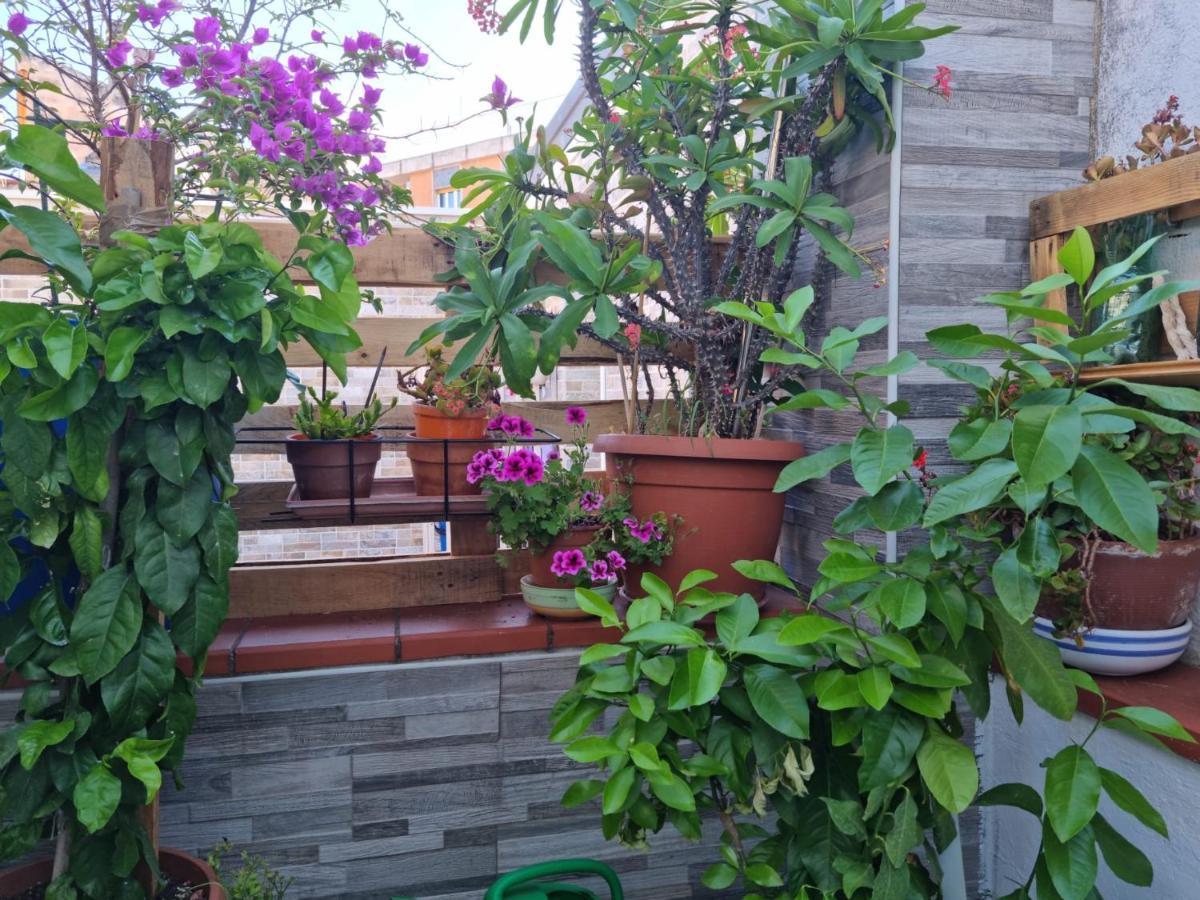 Residenza Lucana Matera Luaran gambar